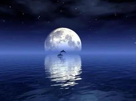 白月光是什么意思