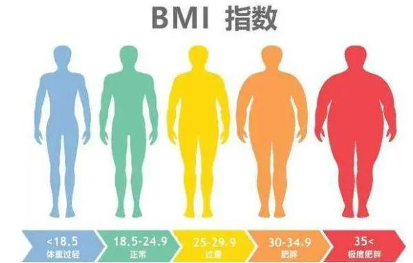 bmi是什么意思