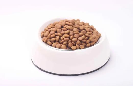 貓糧什么牌子好又便宜