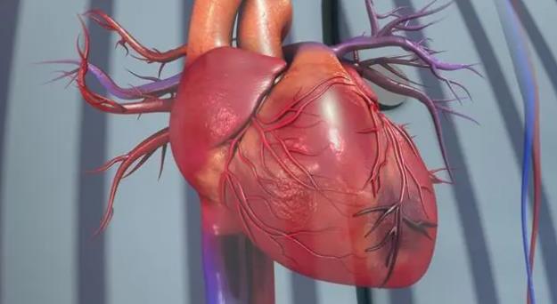 心肌缺血有什么癥狀和表現