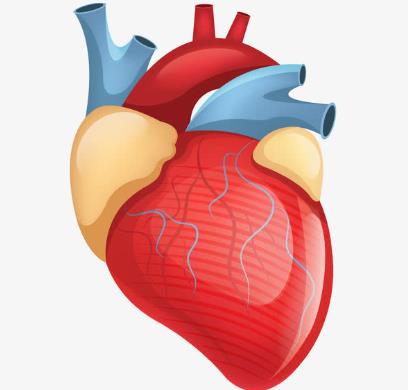 心臟疼怎么辦一陣一陣刺痛