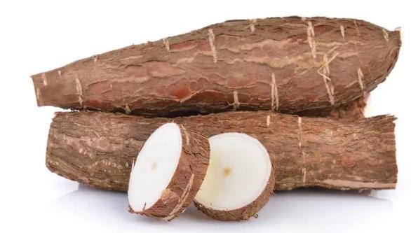 木薯怎么種的啊