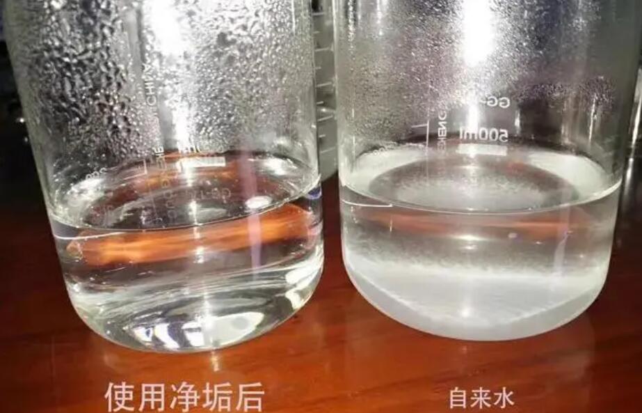 水杯水垢怎么去除