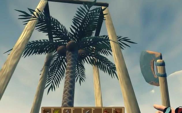 木筏求生樹怎么種