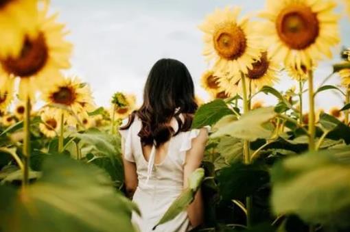 mm是什么單位的