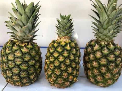 菠蘿為什么要泡鹽水 菠蘿為什么要泡鹽水