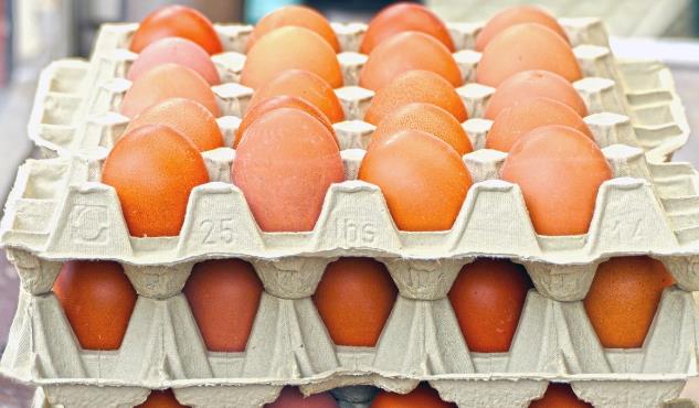 雞蛋盒怎么種大蒜