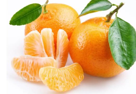 怎么種桔子會甜