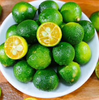 青桔在家怎么種 青桔在家怎么種