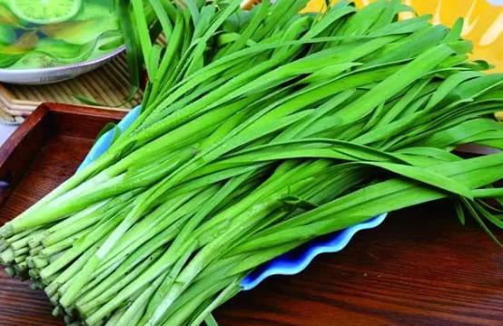 韭菜怎么種才存活