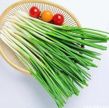 蒜型小蔥怎么種