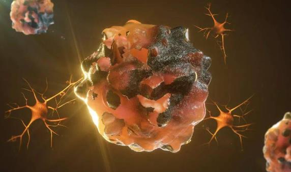 癌胚抗原是什么意思