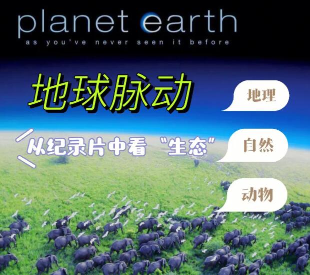 推薦一部環保電影作文《地球脈動》