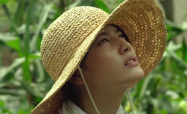 《小森林》寫一篇讀后感