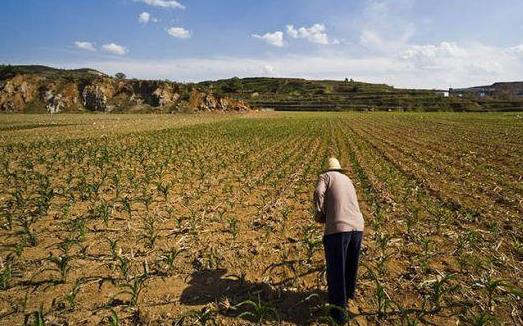 租種土地怎么貸款