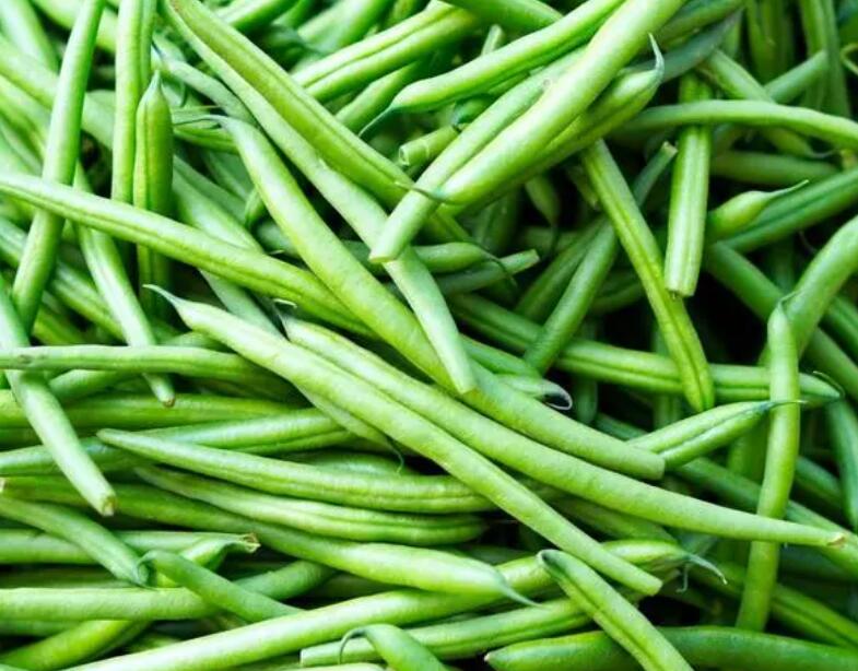 豆角怎么種長得好