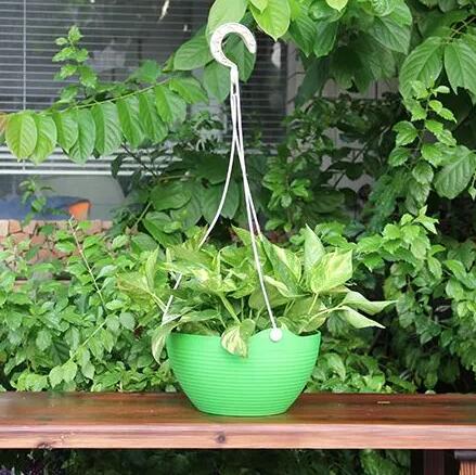 吊式花盆怎么種