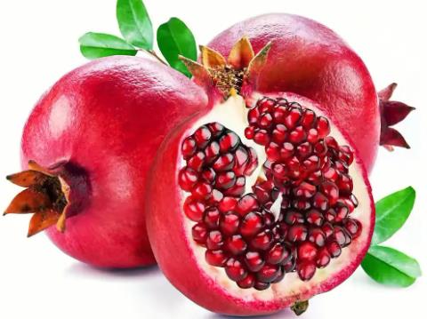 石榴種子怎么種步驟