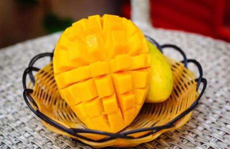 網紅芒果怎么種