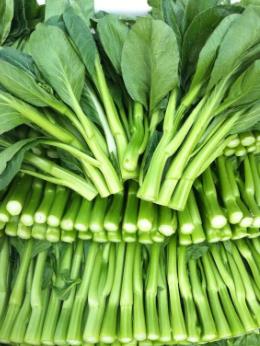 菜心種子芽苗菜怎么種