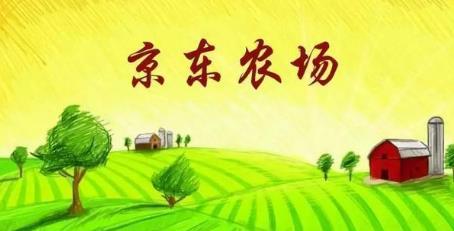 京東農場怎么種米