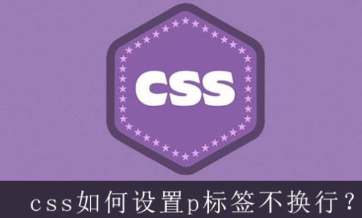 p標簽怎么用 p標簽怎么用