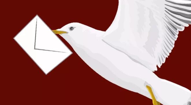 飛鴿傳書是怎么做到的