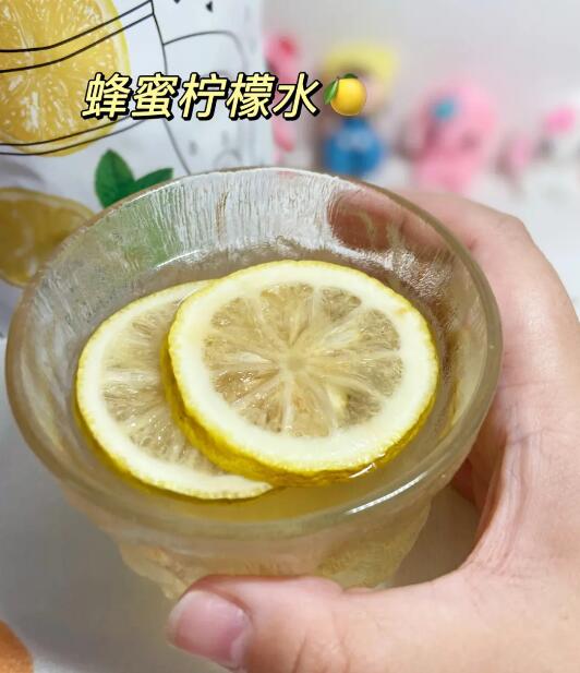 苦丁茶有什么作用和功效