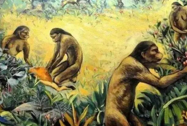 人類是怎么來的