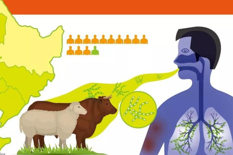 病是怎么來(lái)的