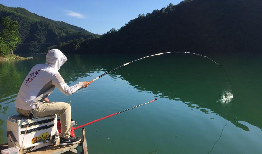 釣魚有什么技巧