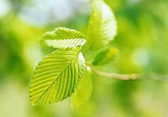 潤二月份有什么講究