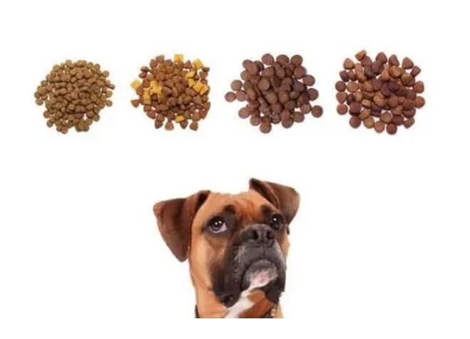 狗糧怎么選