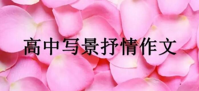 借景抒情的文章