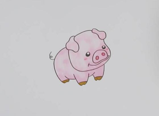 豬怎么畫