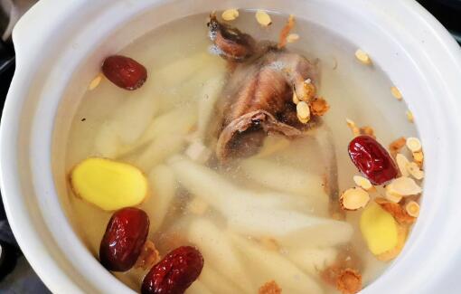 鴿子湯怎么燉好喝又營養