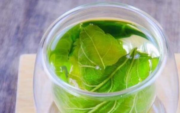 桑葉泡水喝有什么功效和作用