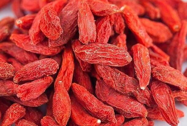 枸杞有什么作用