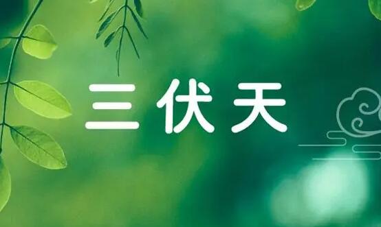 三伏天從什么時候開始 三伏天從什么時候開始