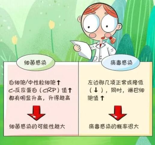 感冒如何判斷是病毒還是細菌
