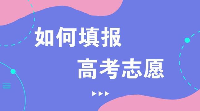 高考報(bào)志愿技巧