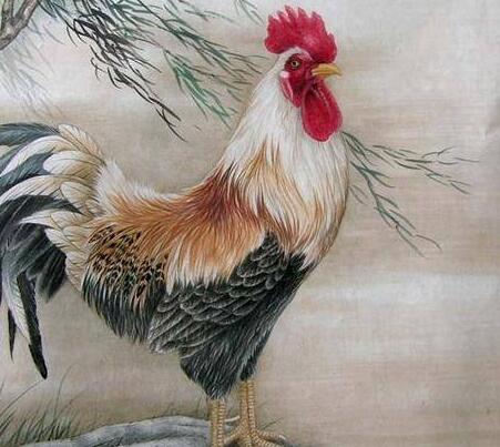 屬雞的和什么屬相最配 屬雞的和什么屬相最配