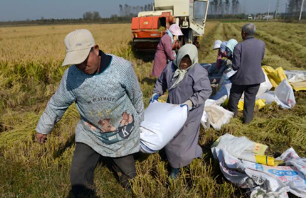 集體經濟是有利還是有弊?