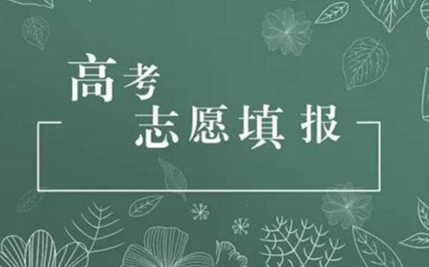 高考志愿能報幾個