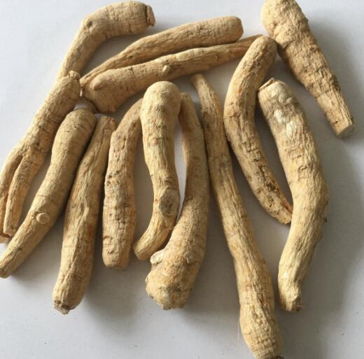 西洋參有什么作用和功效