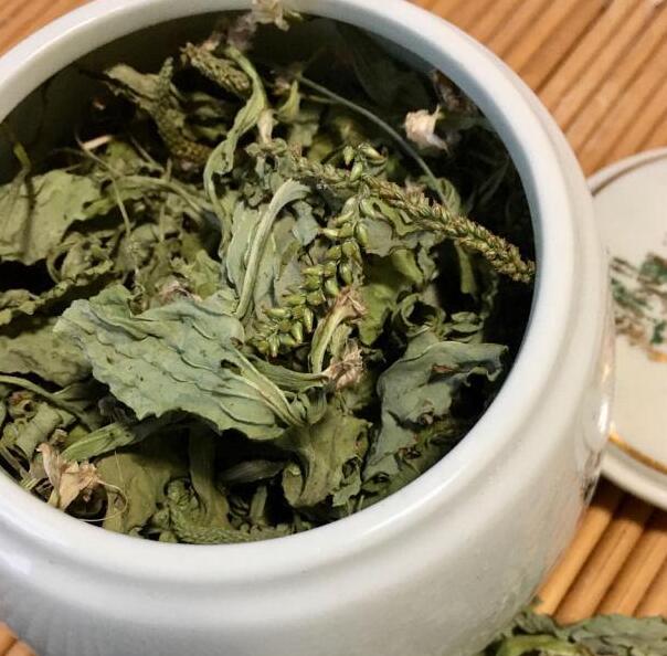 車(chē)前草煮水喝有什么作用與功效