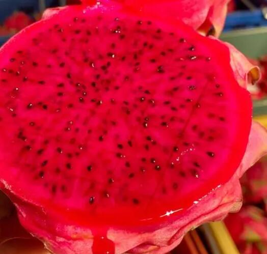 火龍果是熱性還是涼性