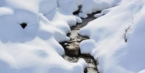 還沒等到高山上的雪融化是什么歌