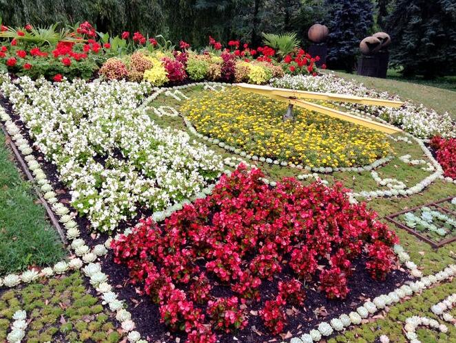 什么樣的花適合種植在花壇里？