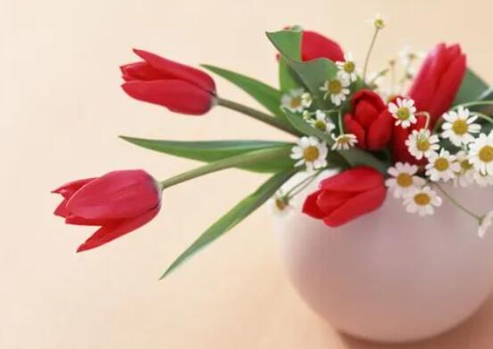 如何保持花的新鮮和美麗？
